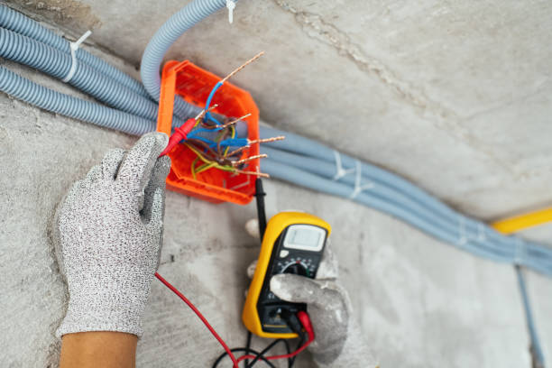 Best Local Electrician Companies  in Stapleton, AL