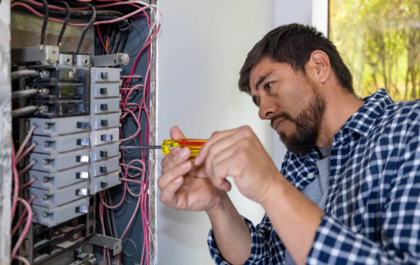Best 24-Hour Electrician  in Stapleton, AL